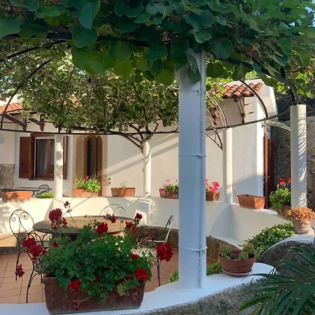 Il Tondo Garden, Lacco Ameno, *